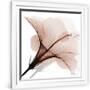 Gramercy White