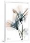 Gramercy White