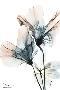 Just the Print