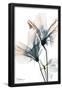 Essential Black