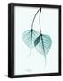 Essential Black