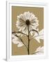 Gramercy White