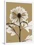 Gramercy White