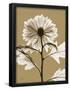 Essential Black