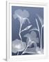 Gramercy White