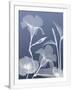 Gramercy White