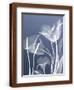 Chelsea Espresso