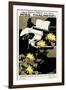 Albert Morris Bagby's New Novel Miss Traumerel-Ethel Reed-Framed Art Print