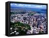 Albert Park and Auckland CBD, New Zealand-David Wall-Framed Stretched Canvas