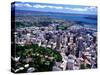 Albert Park and Auckland CBD, New Zealand-David Wall-Stretched Canvas