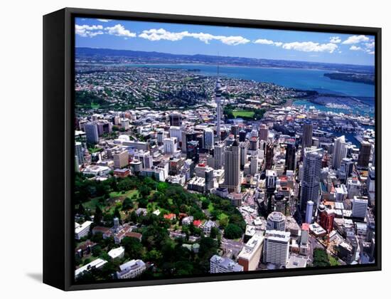 Albert Park and Auckland CBD, New Zealand-David Wall-Framed Stretched Canvas