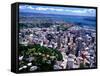 Albert Park and Auckland CBD, New Zealand-David Wall-Framed Stretched Canvas
