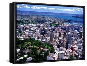 Albert Park and Auckland CBD, New Zealand-David Wall-Framed Stretched Canvas