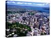 Albert Park and Auckland CBD, New Zealand-David Wall-Stretched Canvas