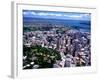 Albert Park and Auckland CBD, New Zealand-David Wall-Framed Photographic Print