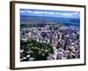Albert Park and Auckland CBD, New Zealand-David Wall-Framed Photographic Print
