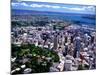 Albert Park and Auckland CBD, New Zealand-David Wall-Mounted Photographic Print