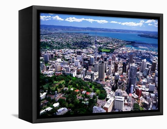 Albert Park and Auckland CBD, New Zealand-David Wall-Framed Stretched Canvas