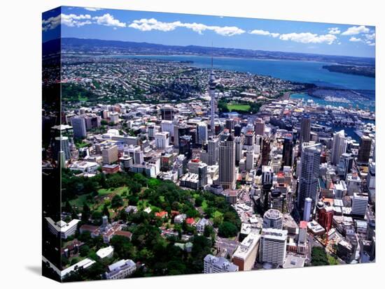 Albert Park and Auckland CBD, New Zealand-David Wall-Stretched Canvas