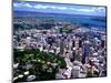 Albert Park and Auckland CBD, New Zealand-David Wall-Mounted Photographic Print