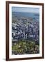 Albert Park, Central Business District, and Sky Tower, Auckland, North Island, New Zealand-David Wall-Framed Photographic Print