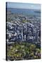 Albert Park, Central Business District, and Sky Tower, Auckland, North Island, New Zealand-David Wall-Stretched Canvas