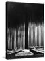 Albert Speer's "Cathedral of Light" at the Nuremberg Rally-null-Stretched Canvas