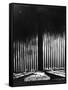 Albert Speer's "Cathedral of Light" at the Nuremberg Rally-null-Framed Stretched Canvas