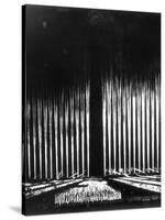 Albert Speer's "Cathedral of Light" at the Nuremberg Rally-null-Stretched Canvas