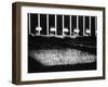 Albert Speer's "Cathedral of Light" at the Nuremberg Rally-null-Framed Photographic Print