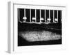 Albert Speer's "Cathedral of Light" at the Nuremberg Rally-null-Framed Photographic Print