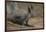 Albert Squirrel-DLILLC-Framed Photographic Print