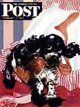"Butch Gets a Bath," Saturday Evening Post Cover, May 11, 1946-Albert Staehle-Framed Giclee Print