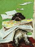 "Butch and the Sunday Paper," May 31, 1947-Albert Staehle-Giclee Print