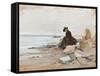 Albert Stevens - Painter at the Beach-null-Framed Stretched Canvas