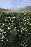 San Francisco Garden-Alberta Binford McCloskey-Framed Giclee Print