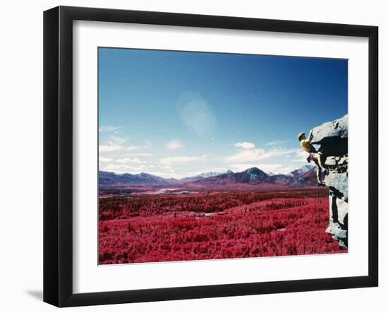 Alberta, Canada-null-Framed Premium Photographic Print