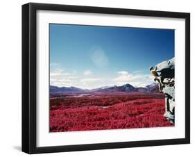 Alberta, Canada-null-Framed Premium Photographic Print