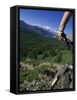 Alberta, Canada-null-Framed Stretched Canvas