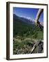 Alberta, Canada-null-Framed Premium Photographic Print