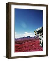 Alberta, Canada-null-Framed Photographic Print