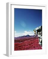 Alberta, Canada-null-Framed Photographic Print