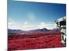 Alberta, Canada-null-Mounted Photographic Print