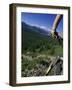 Alberta, Canada-null-Framed Photographic Print