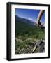 Alberta, Canada-null-Framed Photographic Print