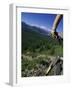 Alberta, Canada-null-Framed Photographic Print