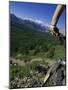 Alberta, Canada-null-Mounted Photographic Print