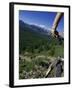 Alberta, Canada-null-Framed Photographic Print