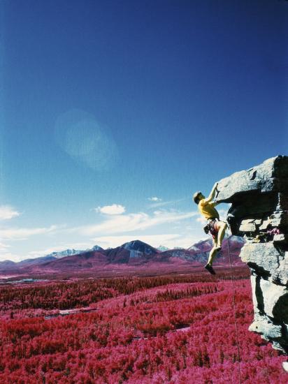 Premium Photographic Print, , large