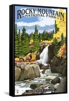 Alberta Falls - Rocky Mountain National Park-Lantern Press-Framed Stretched Canvas